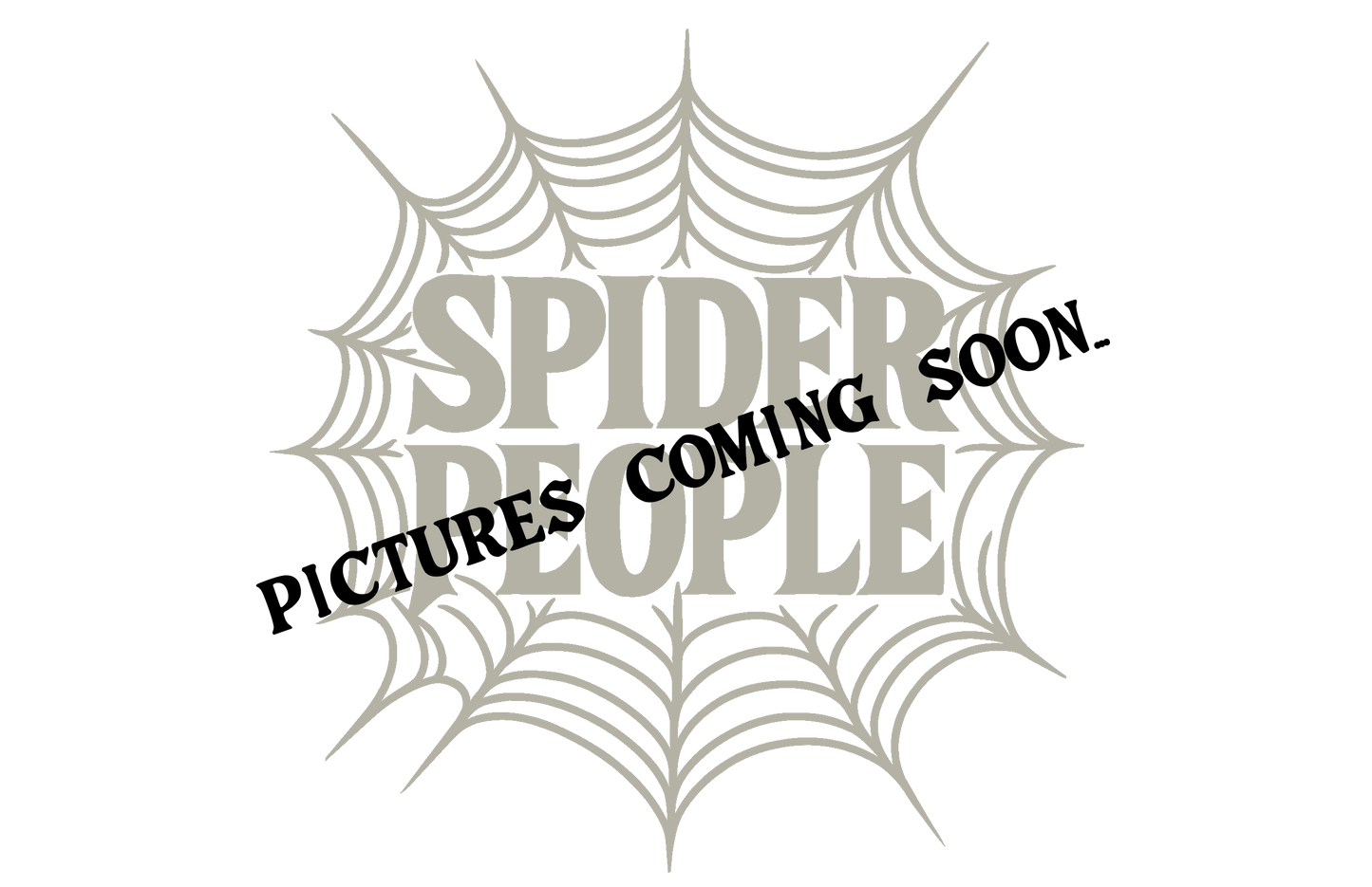 Grammostola pulchra (Brazilian Black Tarantula)