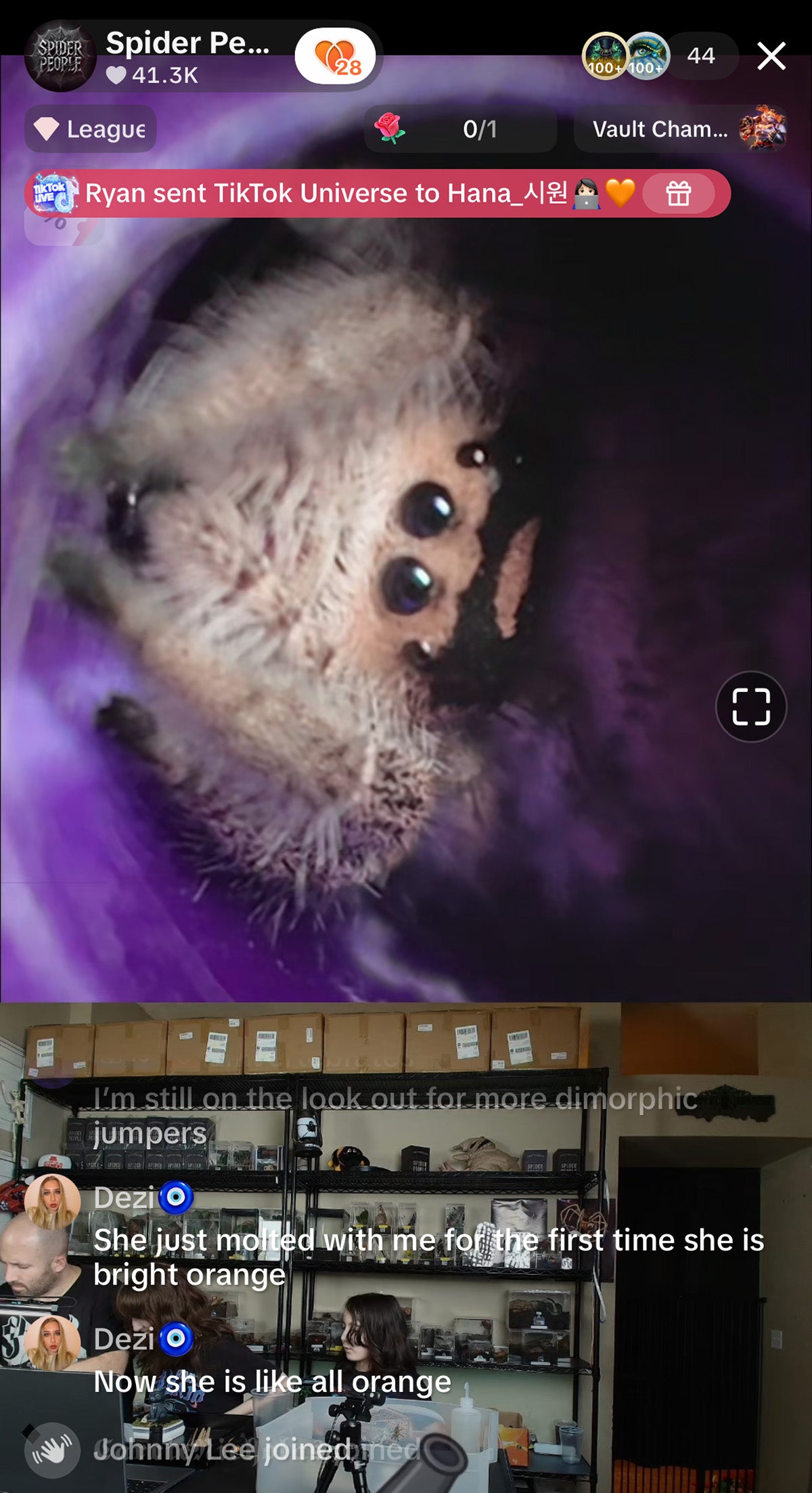 Portrait view of a Spider People Network creator livestream