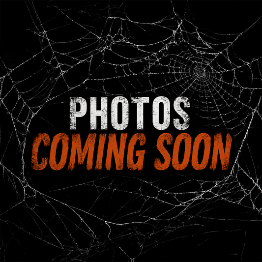 Latrodectus hesperus (Western Black Widow)